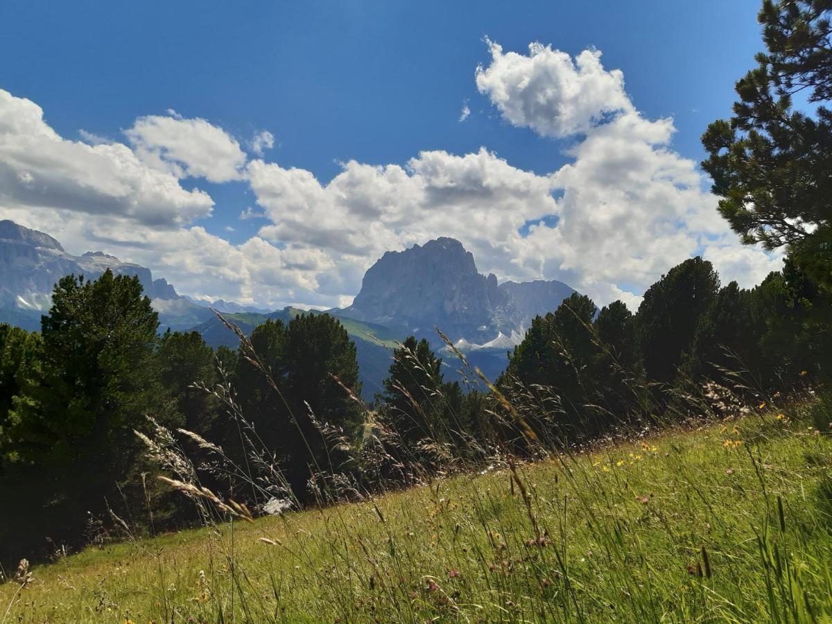 Garni Franca B&B Sëlva di Val Gardena Eksteriør billede