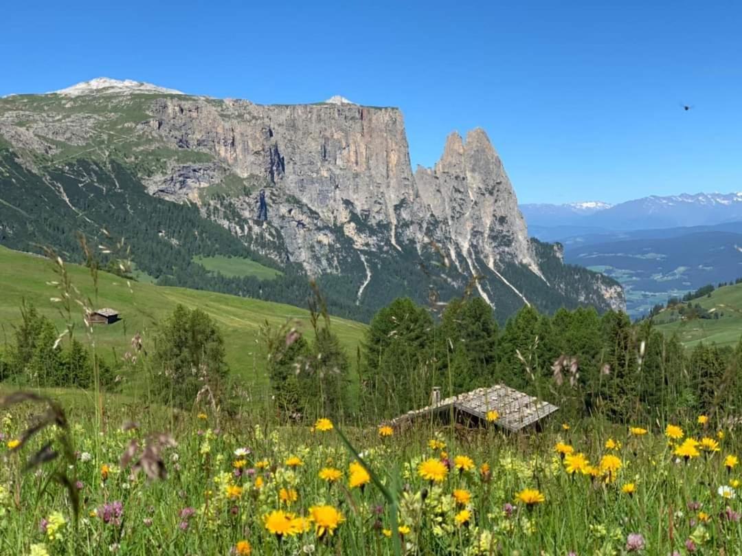 Garni Franca B&B Sëlva di Val Gardena Eksteriør billede