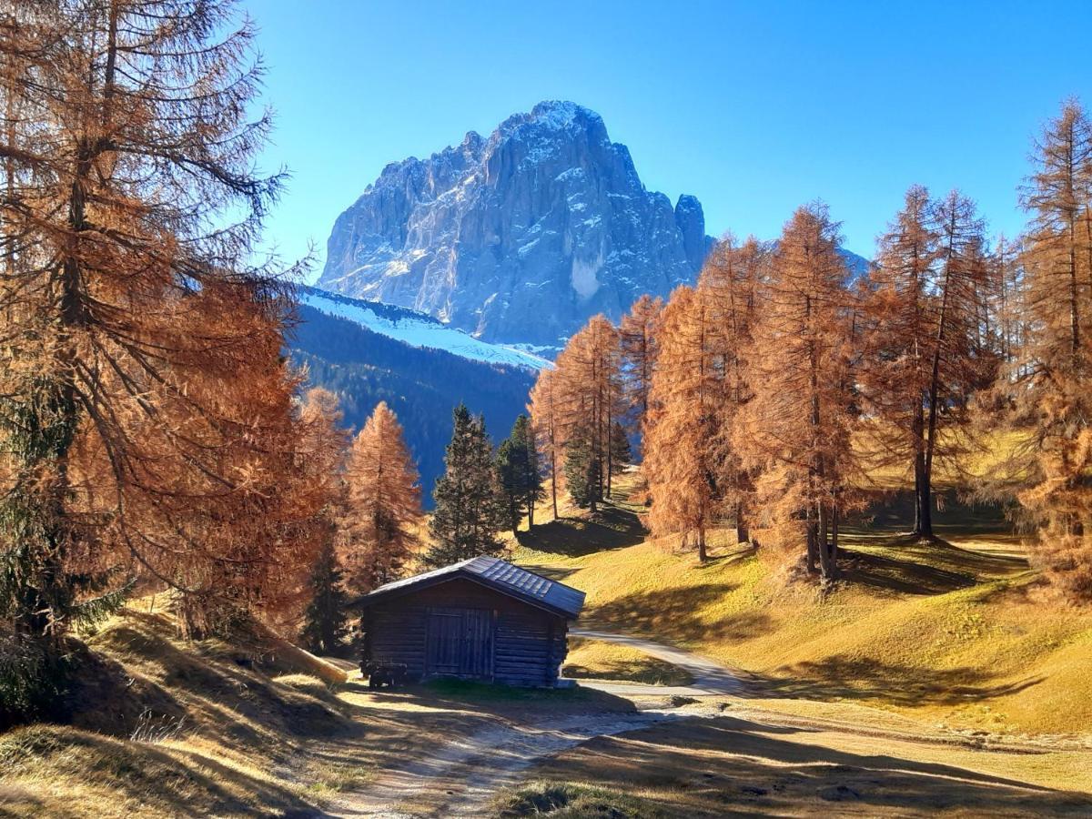 Garni Franca B&B Sëlva di Val Gardena Eksteriør billede