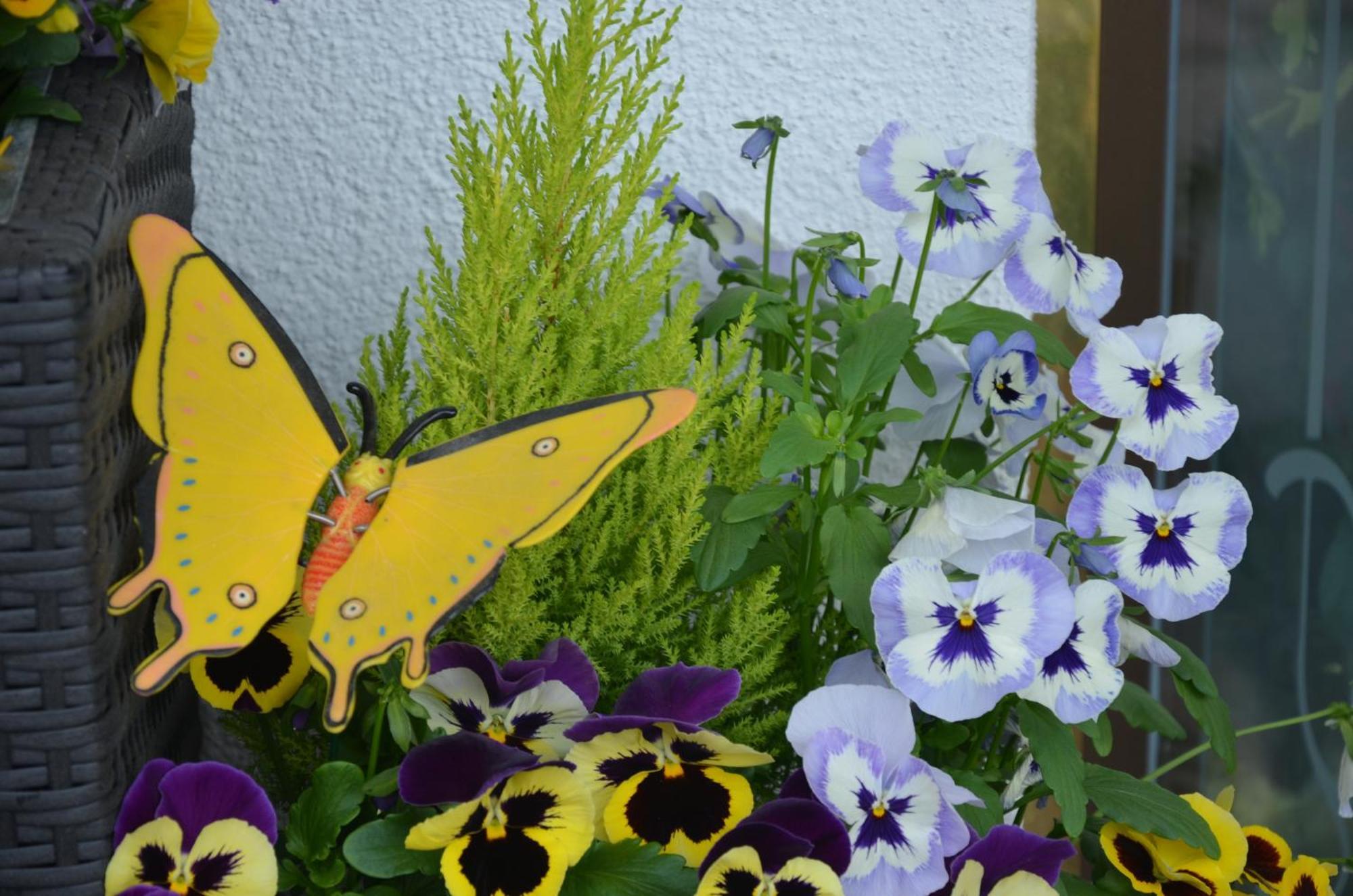 Garni Franca B&B Sëlva di Val Gardena Eksteriør billede